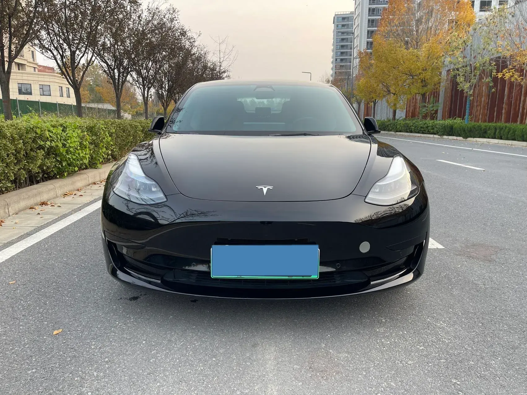 2022 TESLA MODEL thumbnail 2