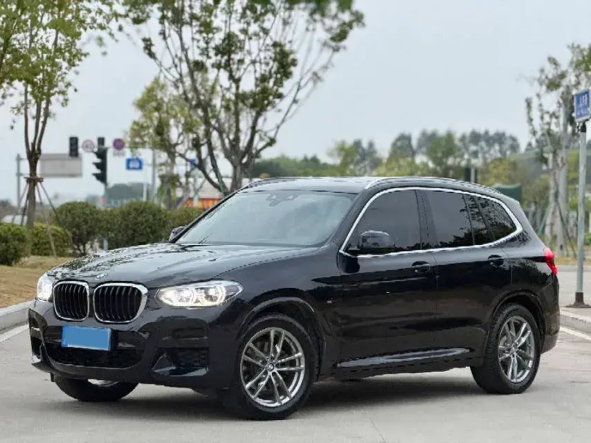 2020 BMW X3 view 1
