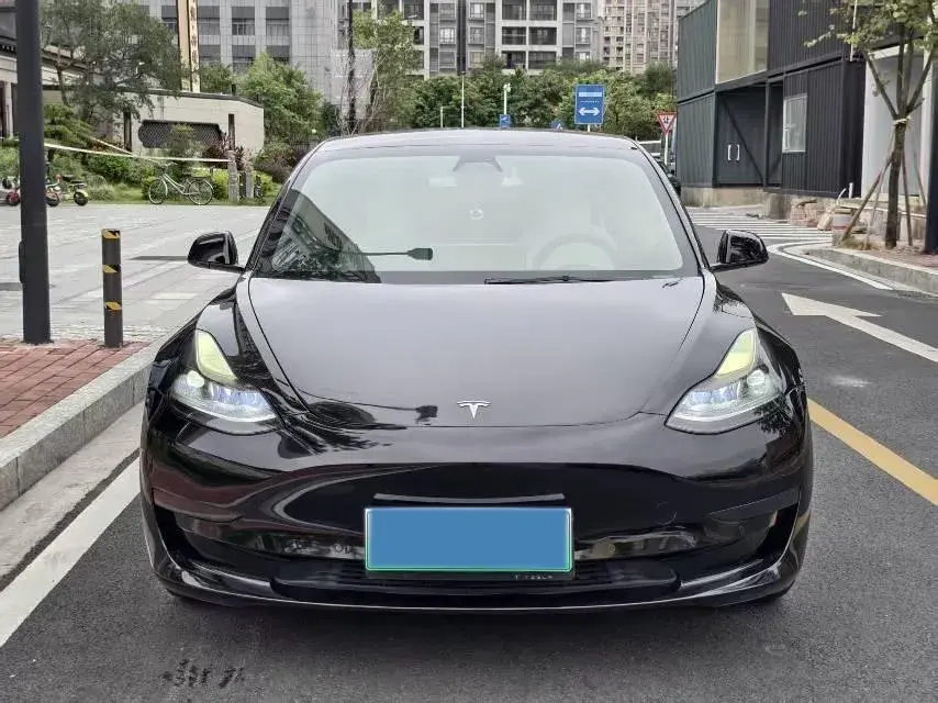 2021 TESLA MODEL thumbnail 2