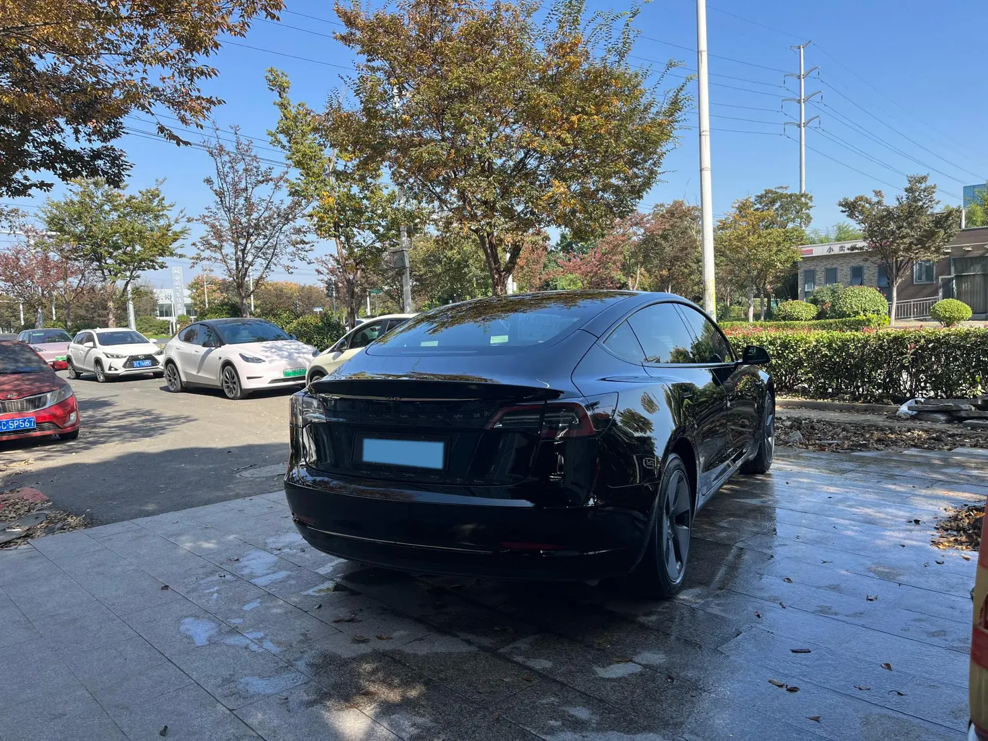 2021 TESLA MODEL thumbnail 4