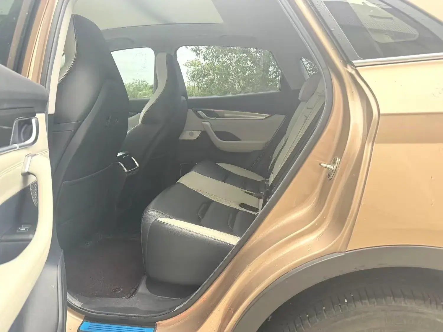 2018 WELTMEISTER EX5 thumbnail 4