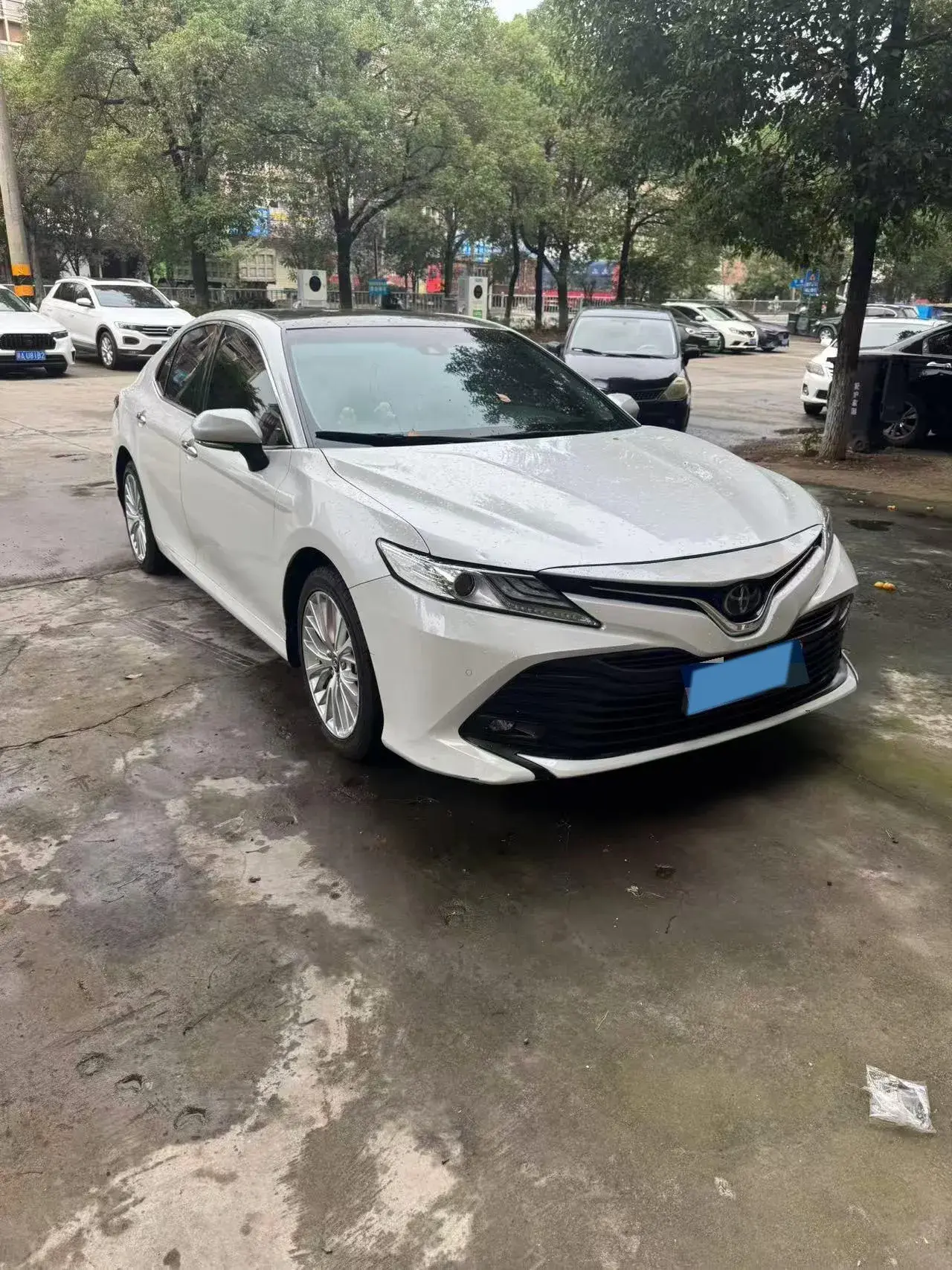 2019 TOYOTA CAMRY thumbnail 2