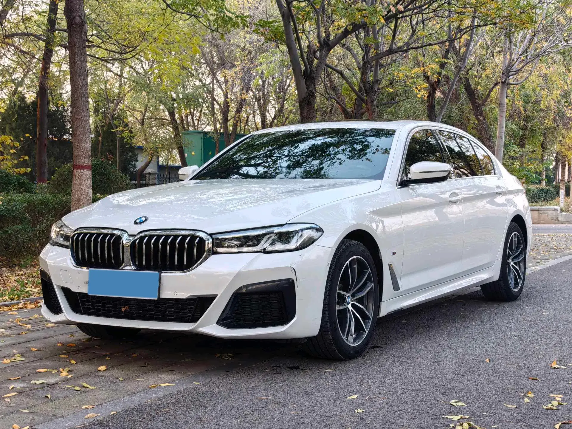 2021 BMW 5 view 1