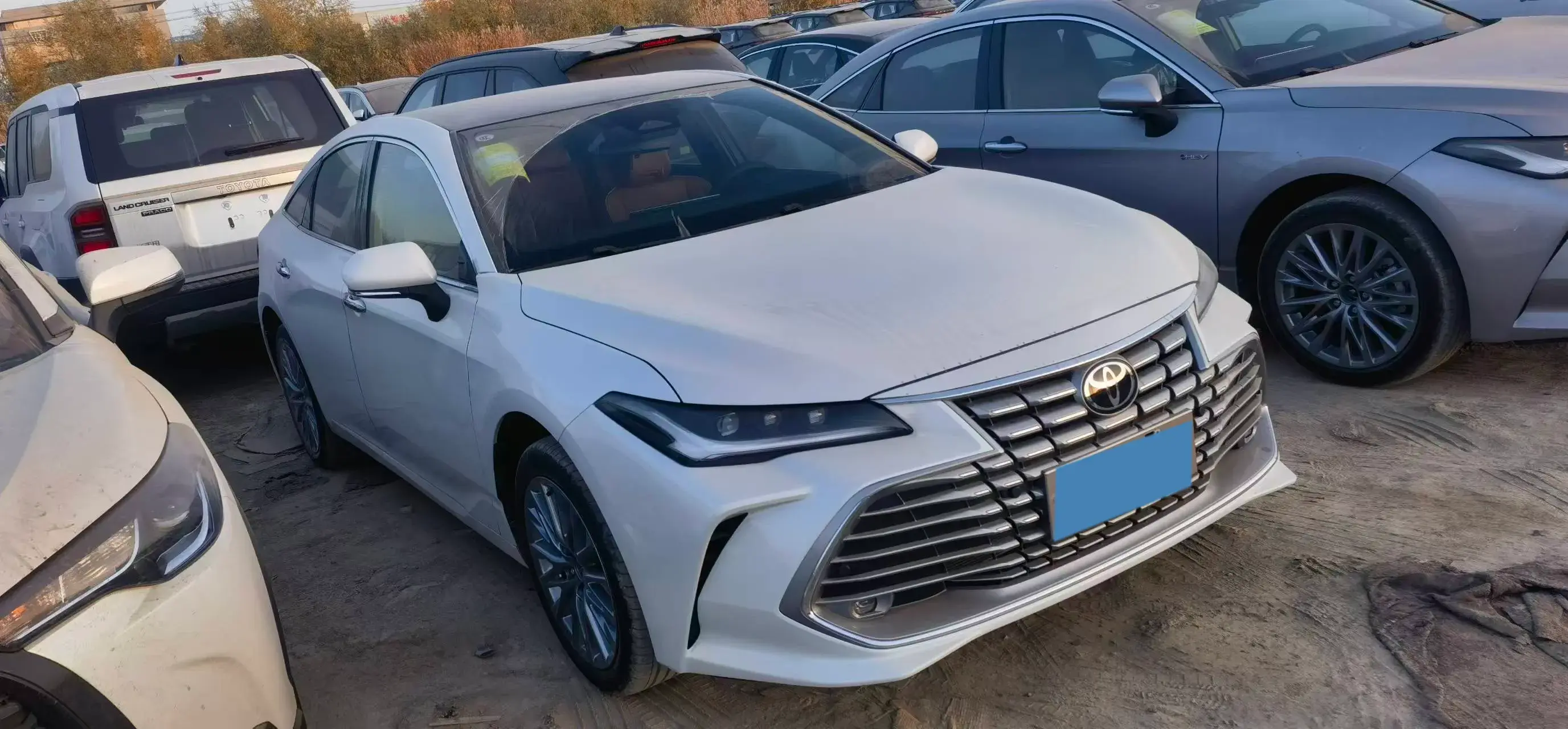 2024 TOYOTA AVALON thumbnail 2