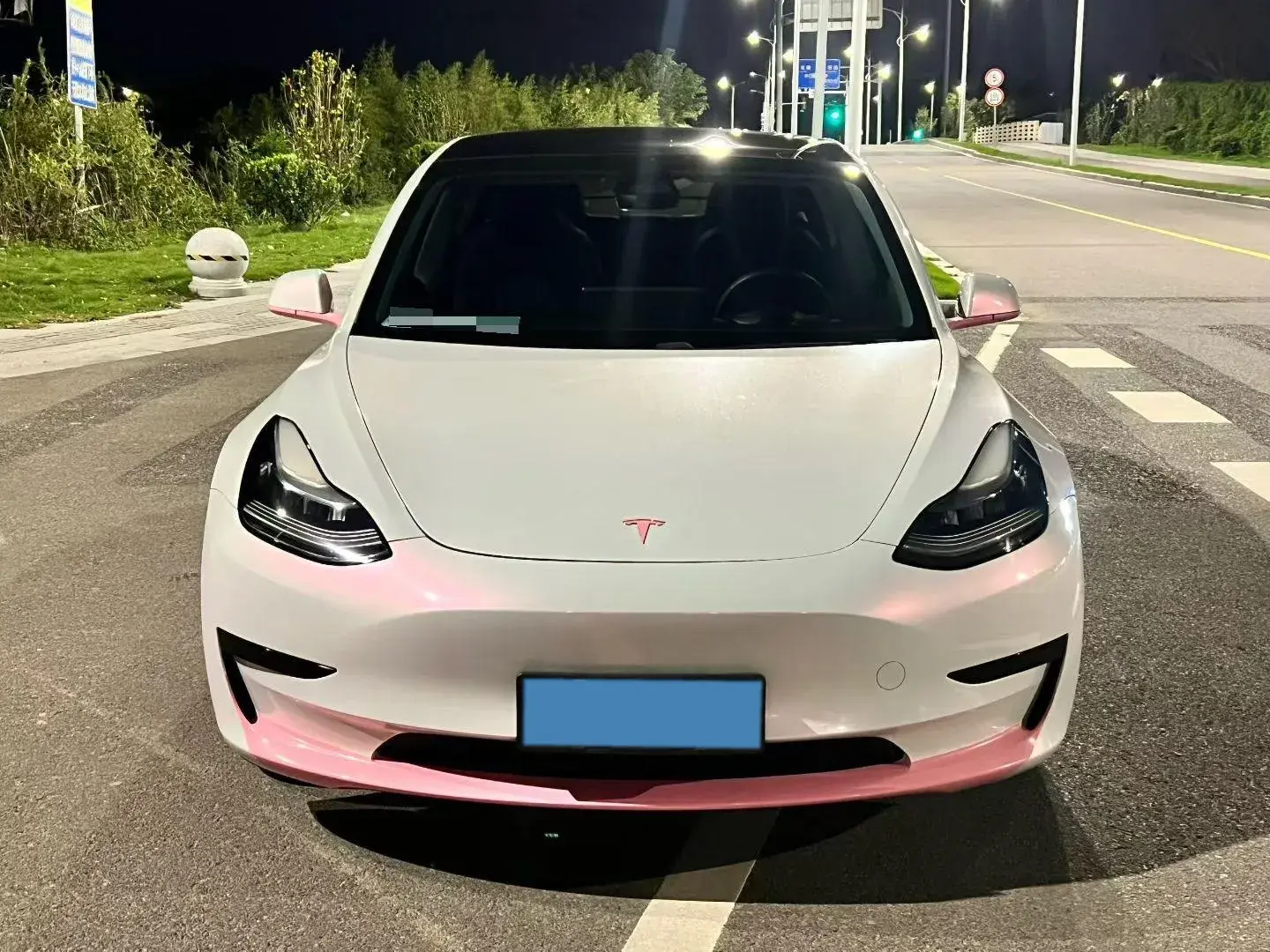 2020 TESLA MODEL thumbnail 2