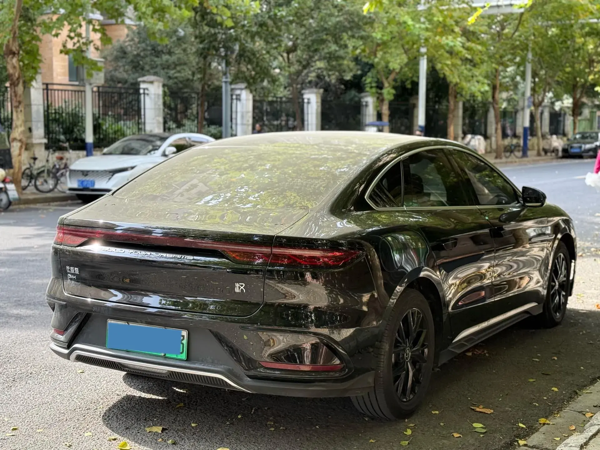 2022 BYD HAN thumbnail 2