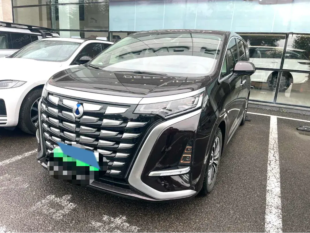 2024 DENZA D9 view 1