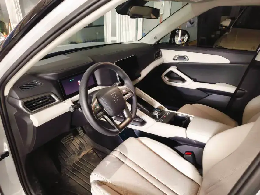 2024 BYD YUANUP thumbnail 2