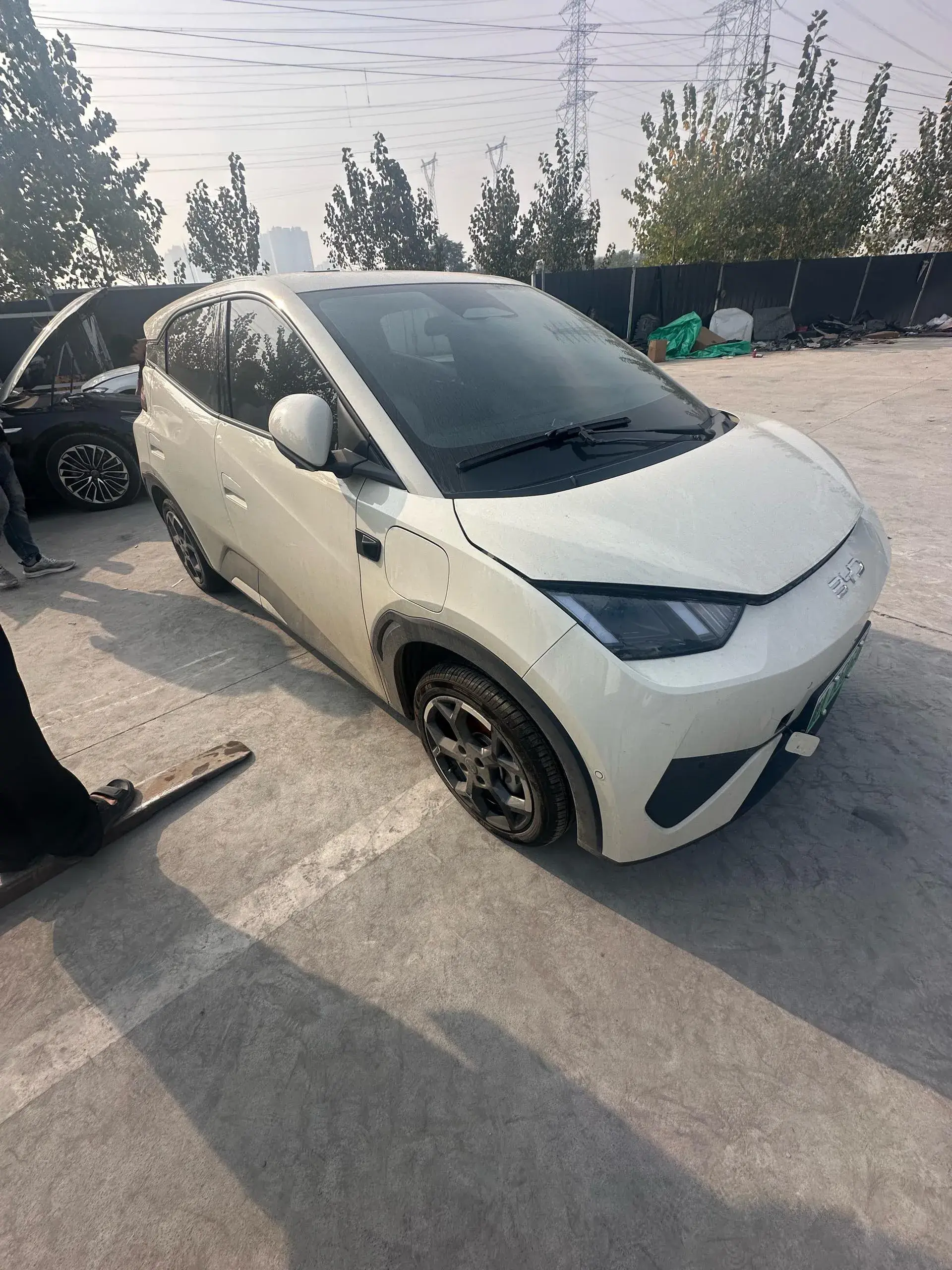 2025 BYD SEAGULL thumbnail 2