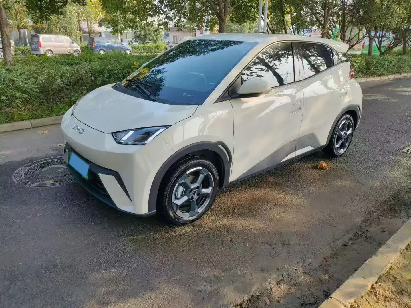 2024 BYD SEAGULL view 1