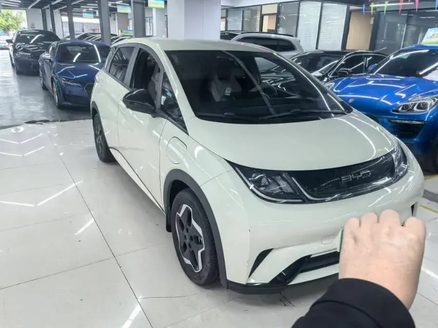 2021 BYD DOLPHIN thumbnail 2