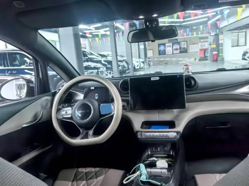 2021 BYD DOLPHIN thumbnail 3