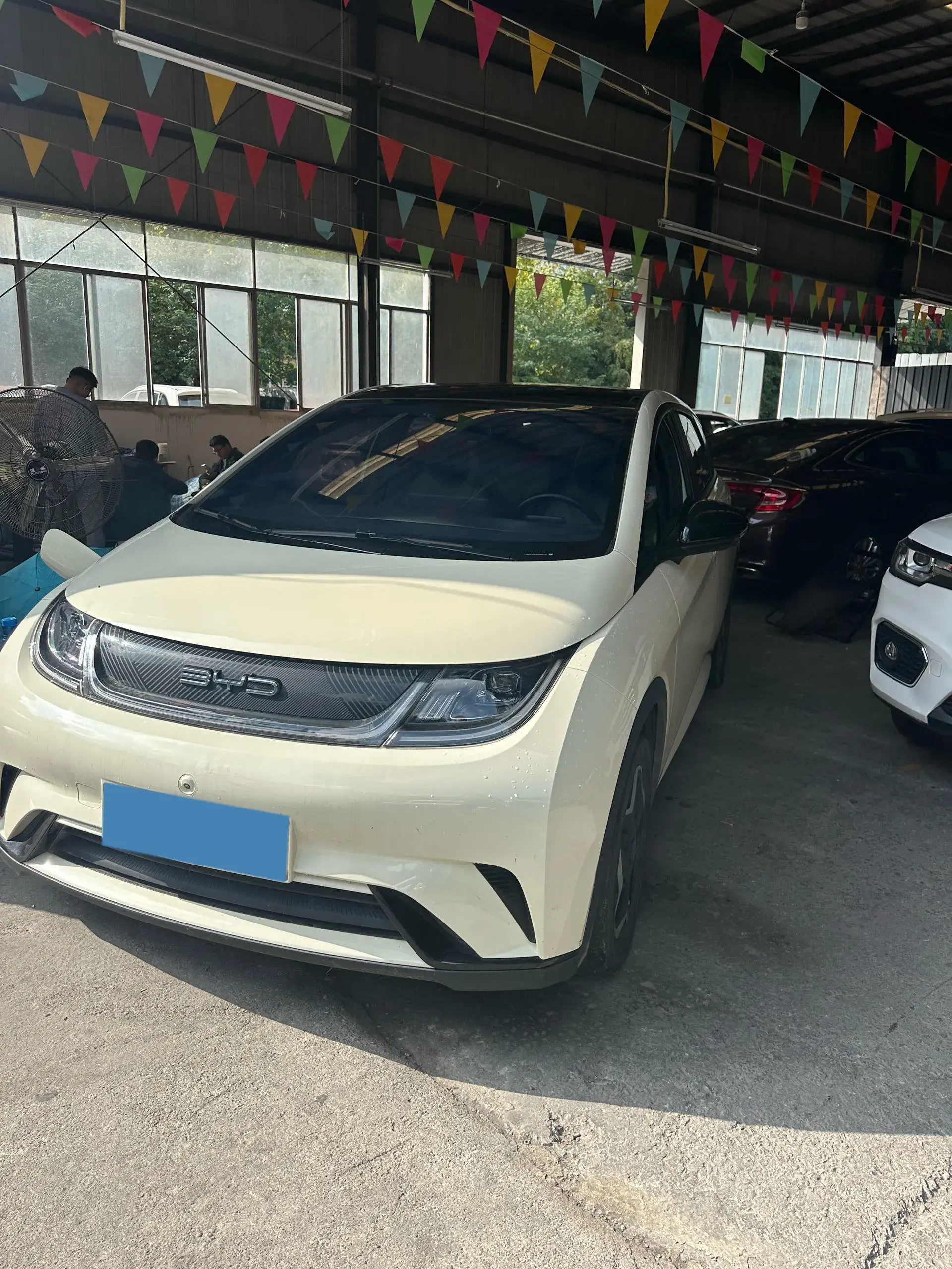 2023 BYD DOLPHIN view 1