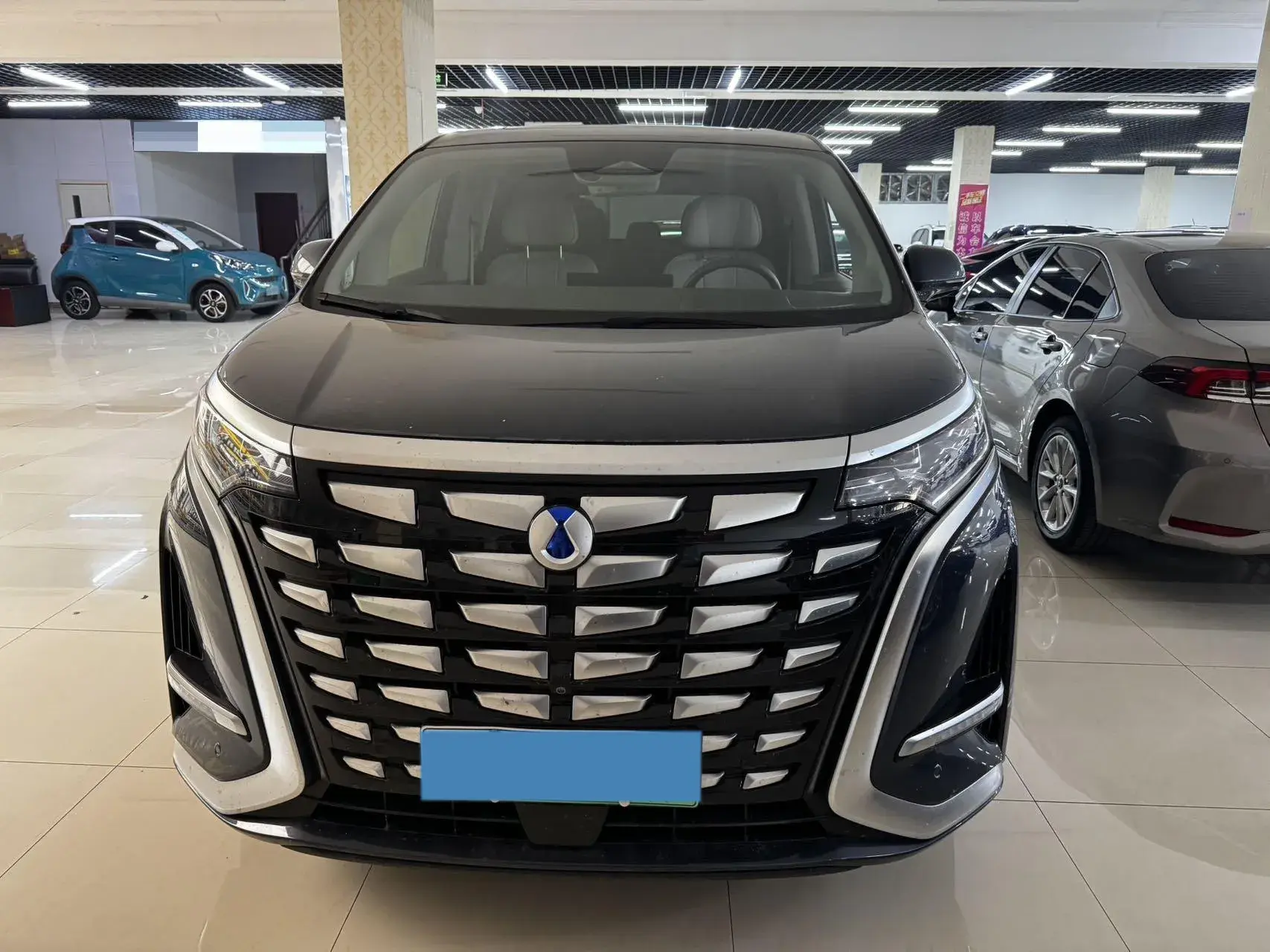 2022 DENZA D9 thumbnail 2