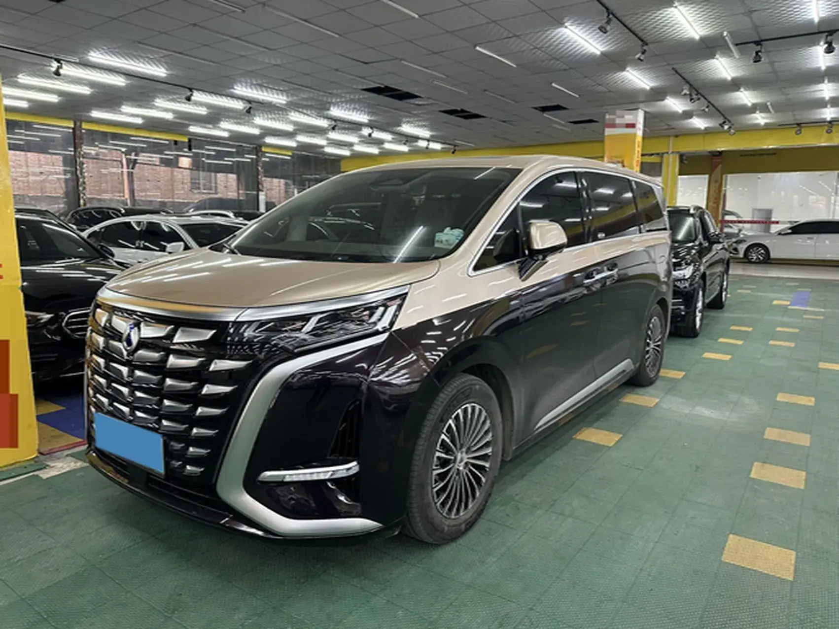 2022 DENZA D9 view 1