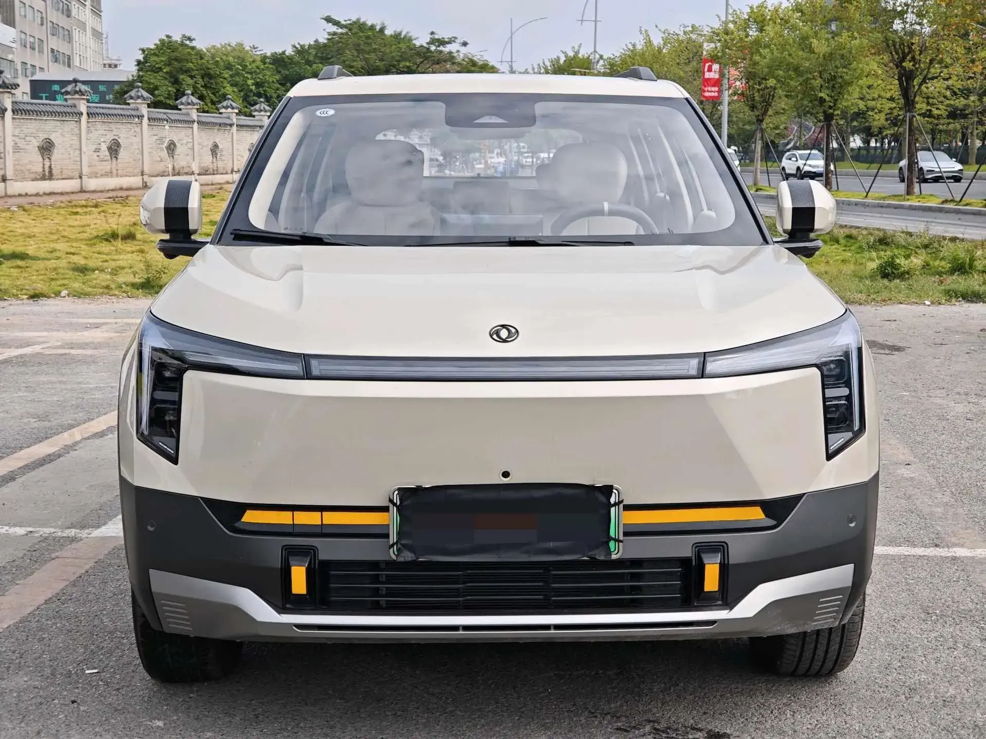 2025 DONGFENG NAMMI thumbnail 2