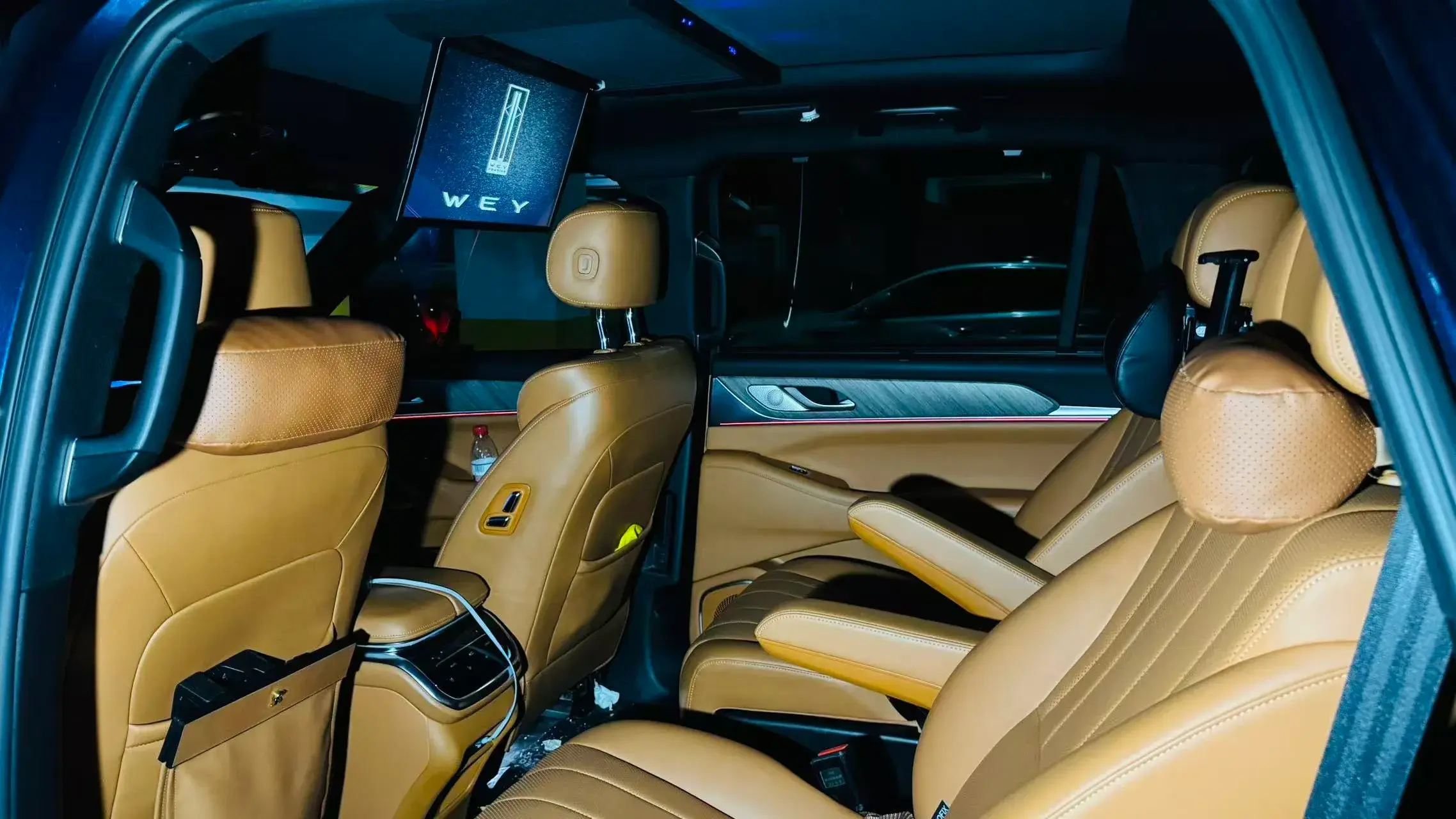 2023 WEY BLUEMOUNTAIN thumbnail 4