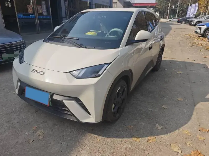 2024 BYD SEAGULL view 1