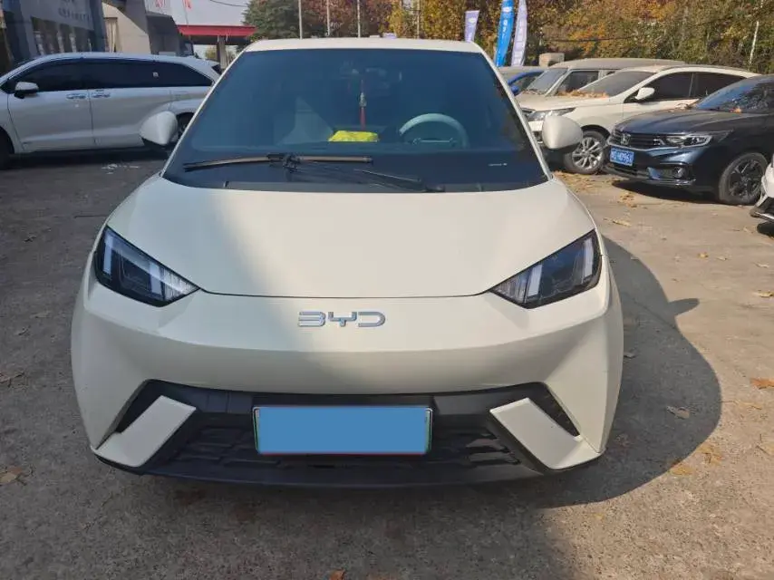 2024 BYD SEAGULL thumbnail 2