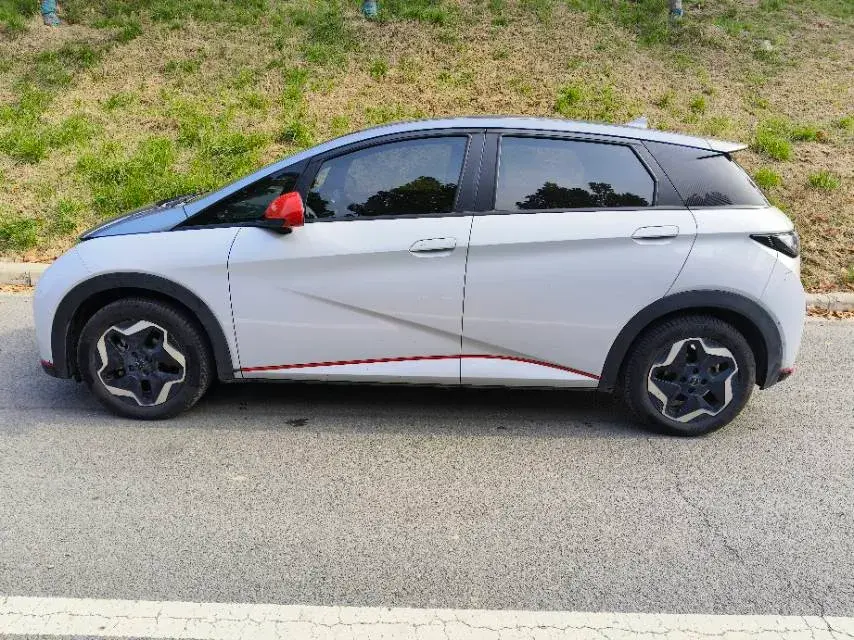 2021 BYD DOLPHIN thumbnail 3