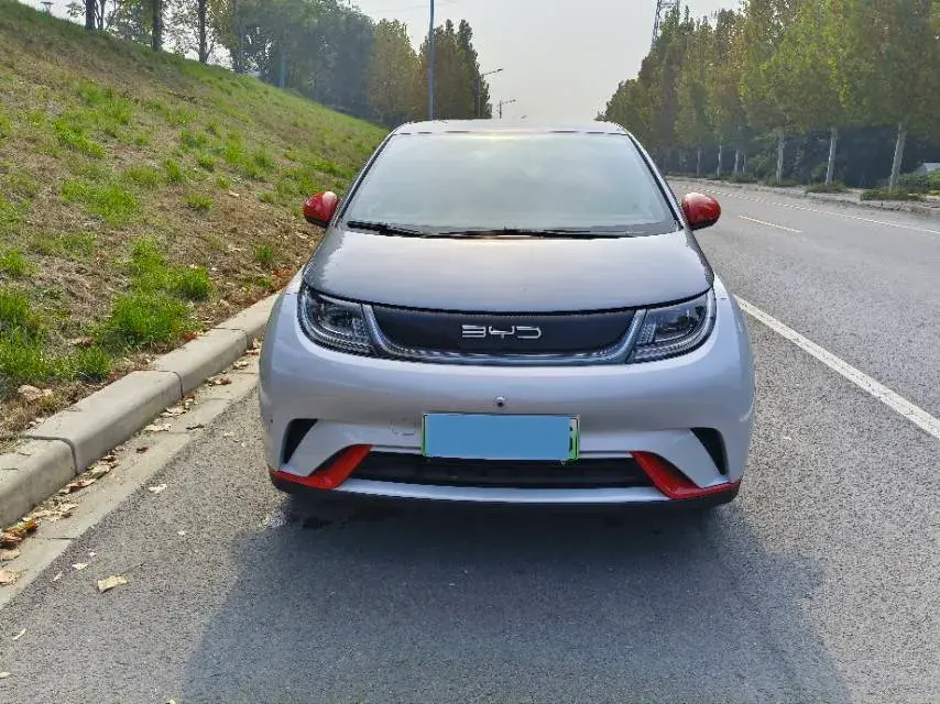 2021 BYD DOLPHIN thumbnail 2