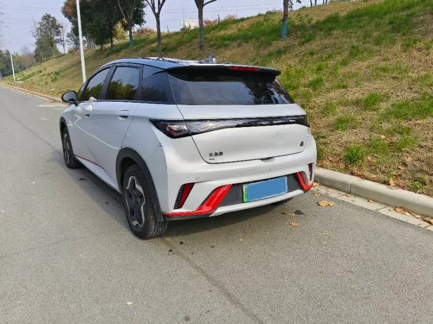 2021 BYD DOLPHIN thumbnail 4