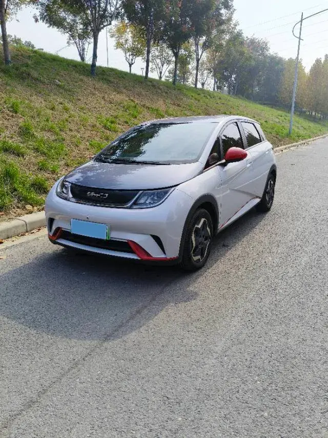 2021 BYD DOLPHIN view 1