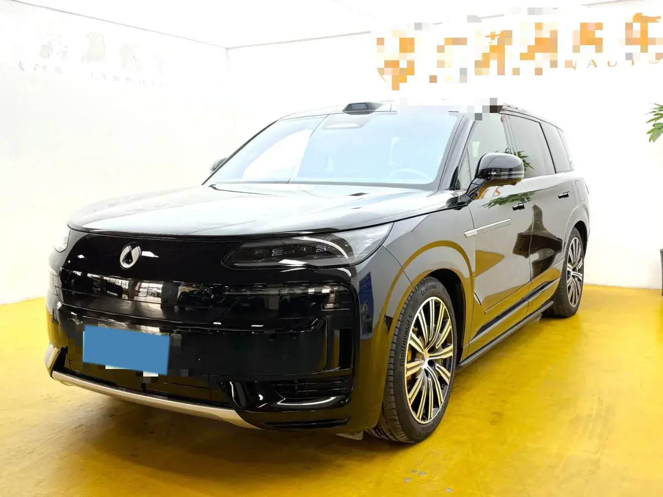 2023 DENZA DENZAN9 view 1