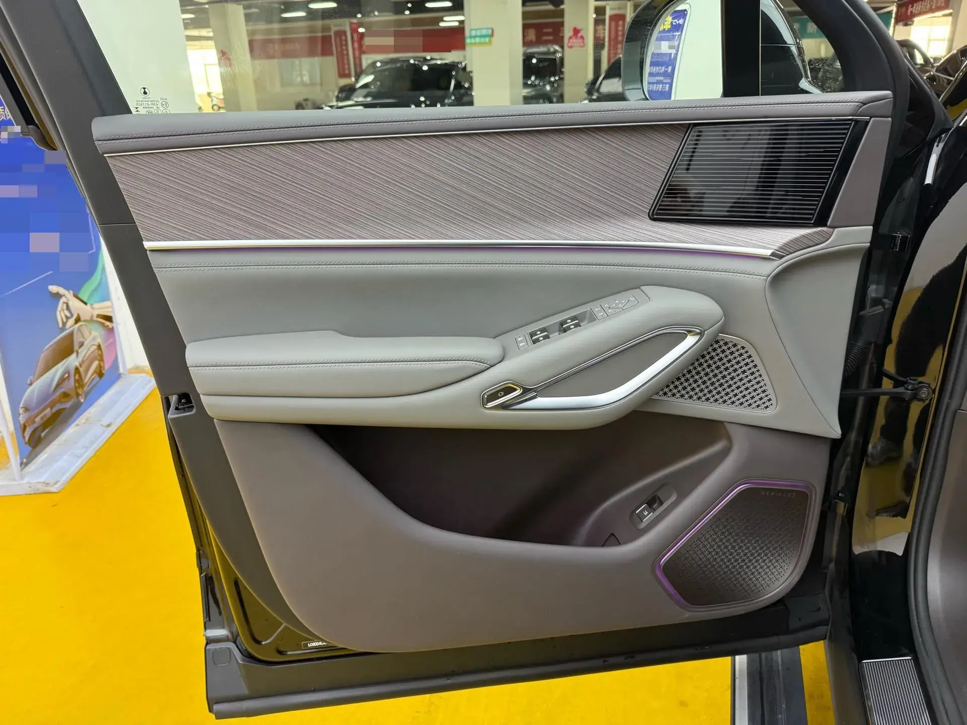 2023 DENZA DENZAN9 thumbnail 3