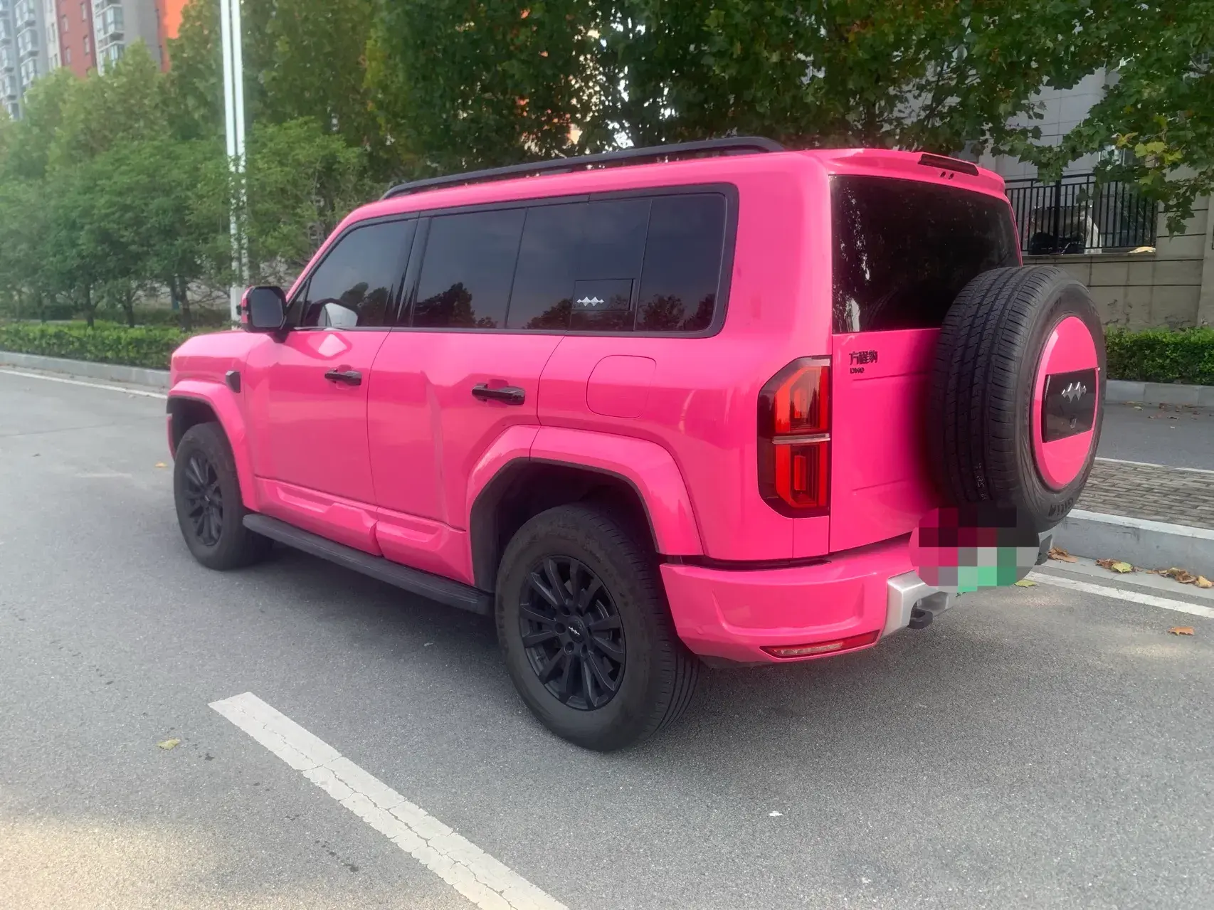 2025 FANGCHENGBAO BAO thumbnail 3