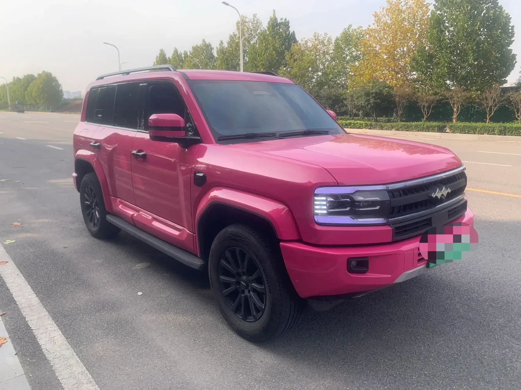 2025 FANGCHENGBAO BAO thumbnail 2