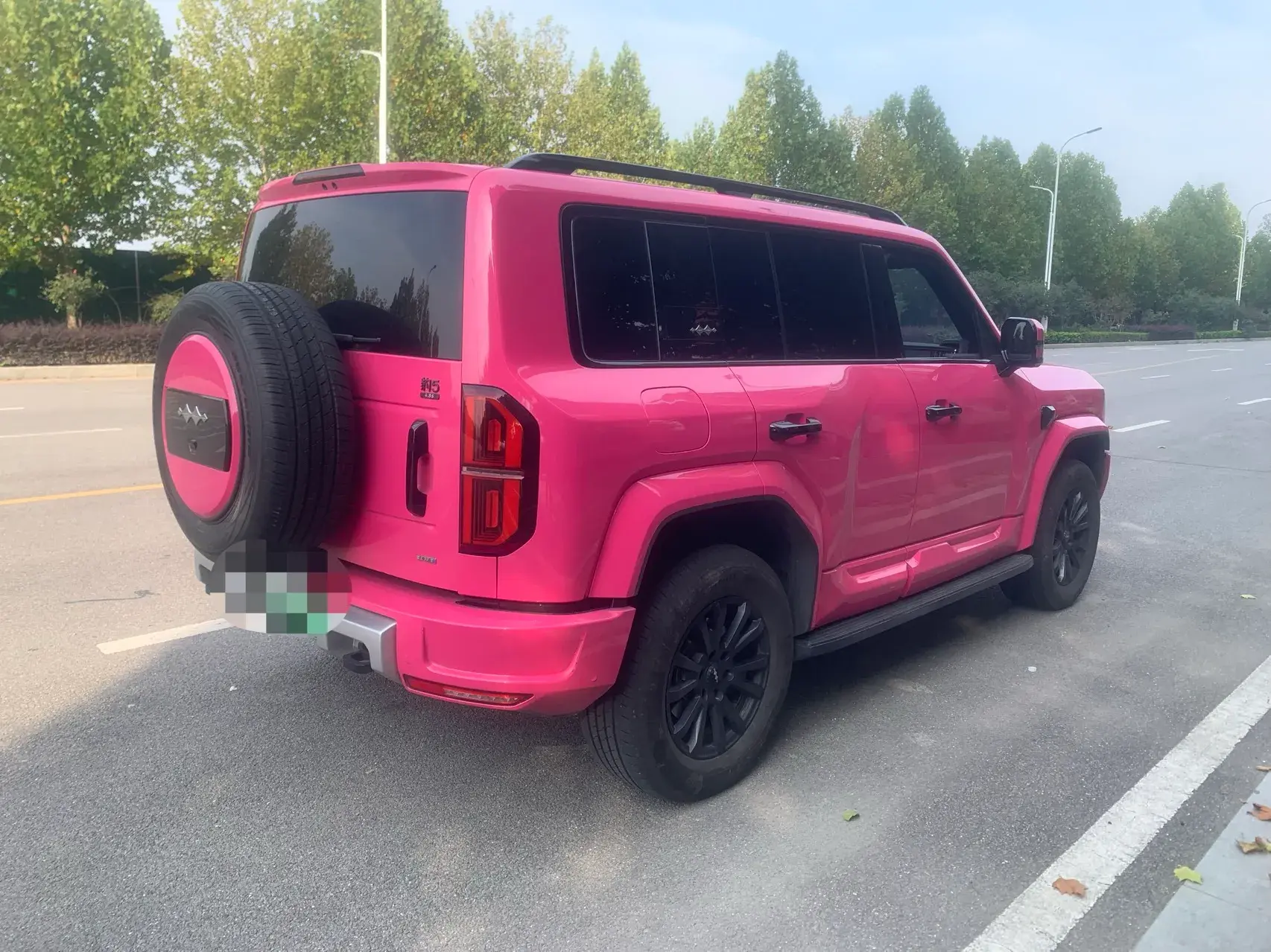 2025 FANGCHENGBAO BAO thumbnail 4