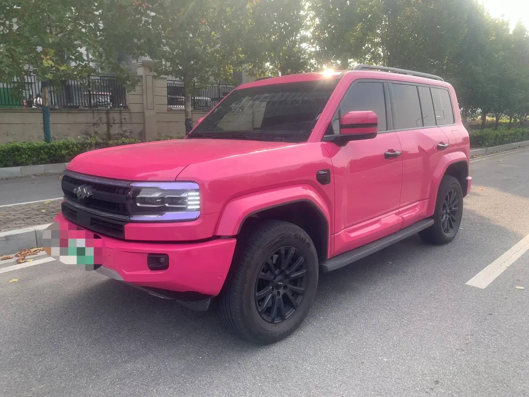 2025 FANGCHENGBAO BAO view 1