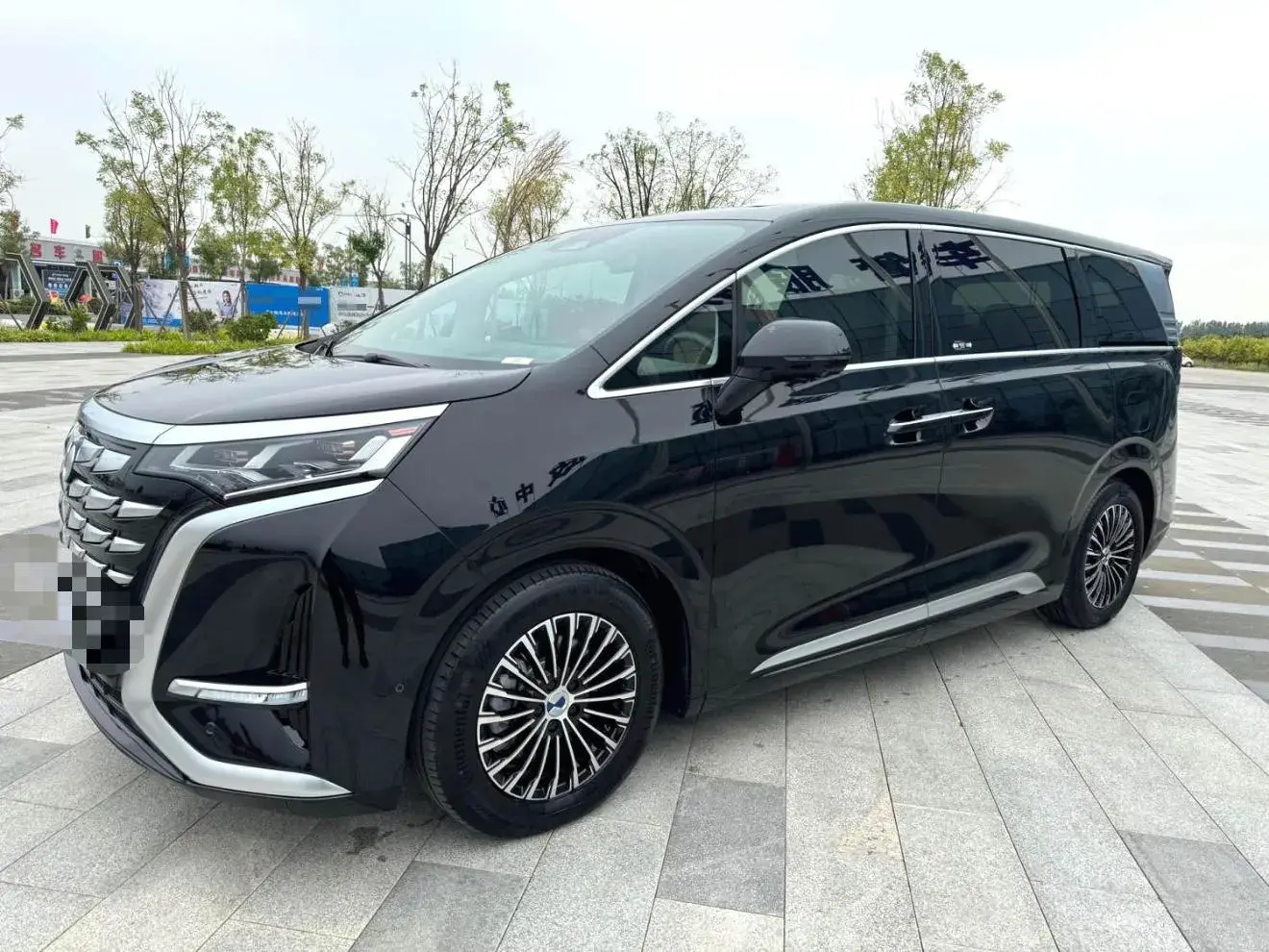 2022 DENZA D9 view 1