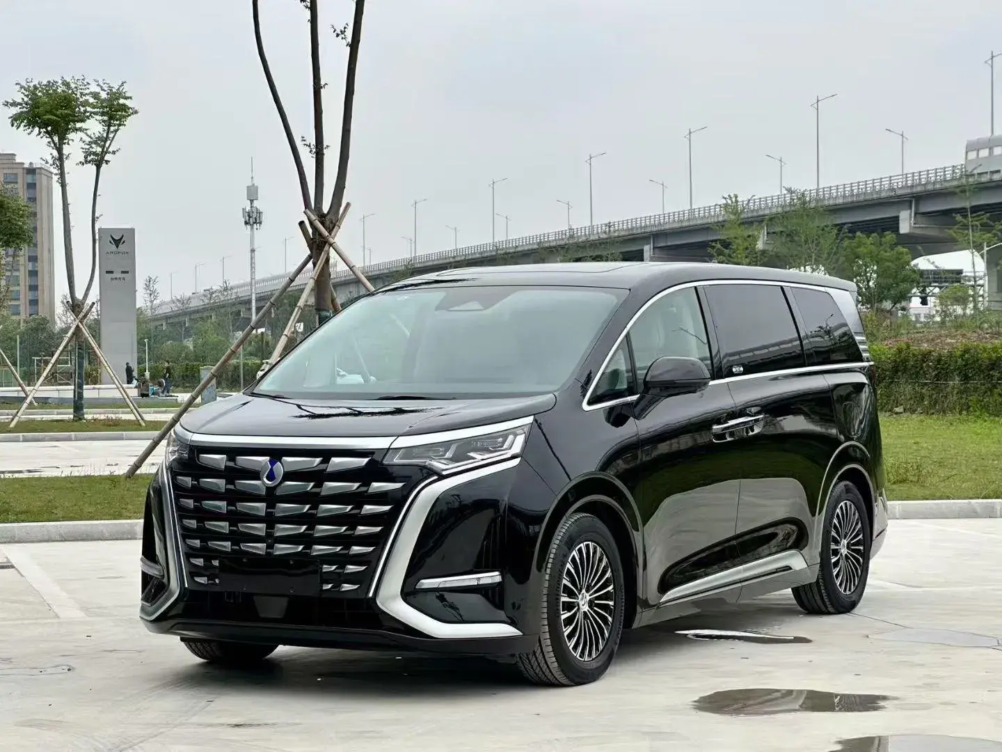 2024 DENZA D9 view 1