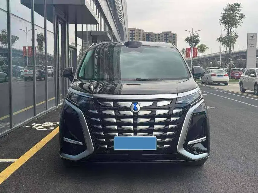 2024 DENZA D9 thumbnail 2