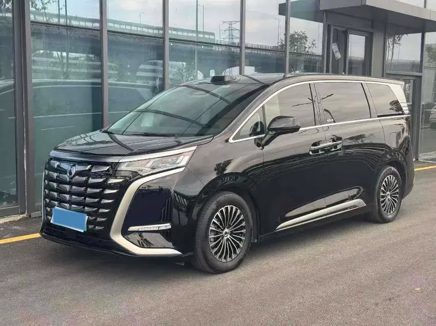 2024 DENZA D9 view 1