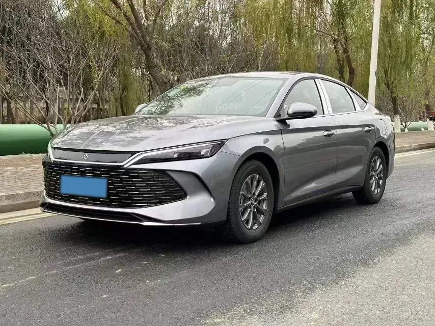 2024 BYD QINL view 1