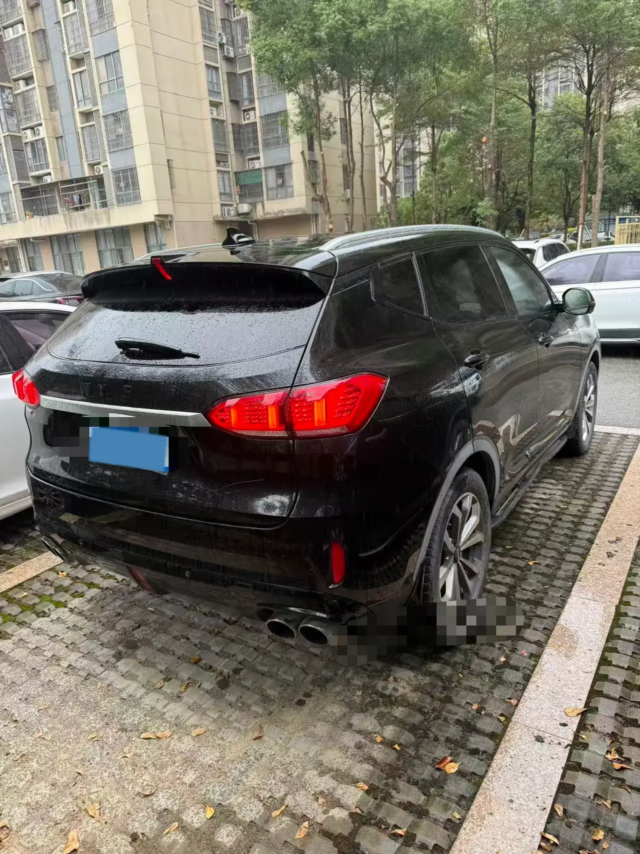 2020 WEY VV6 thumbnail 4