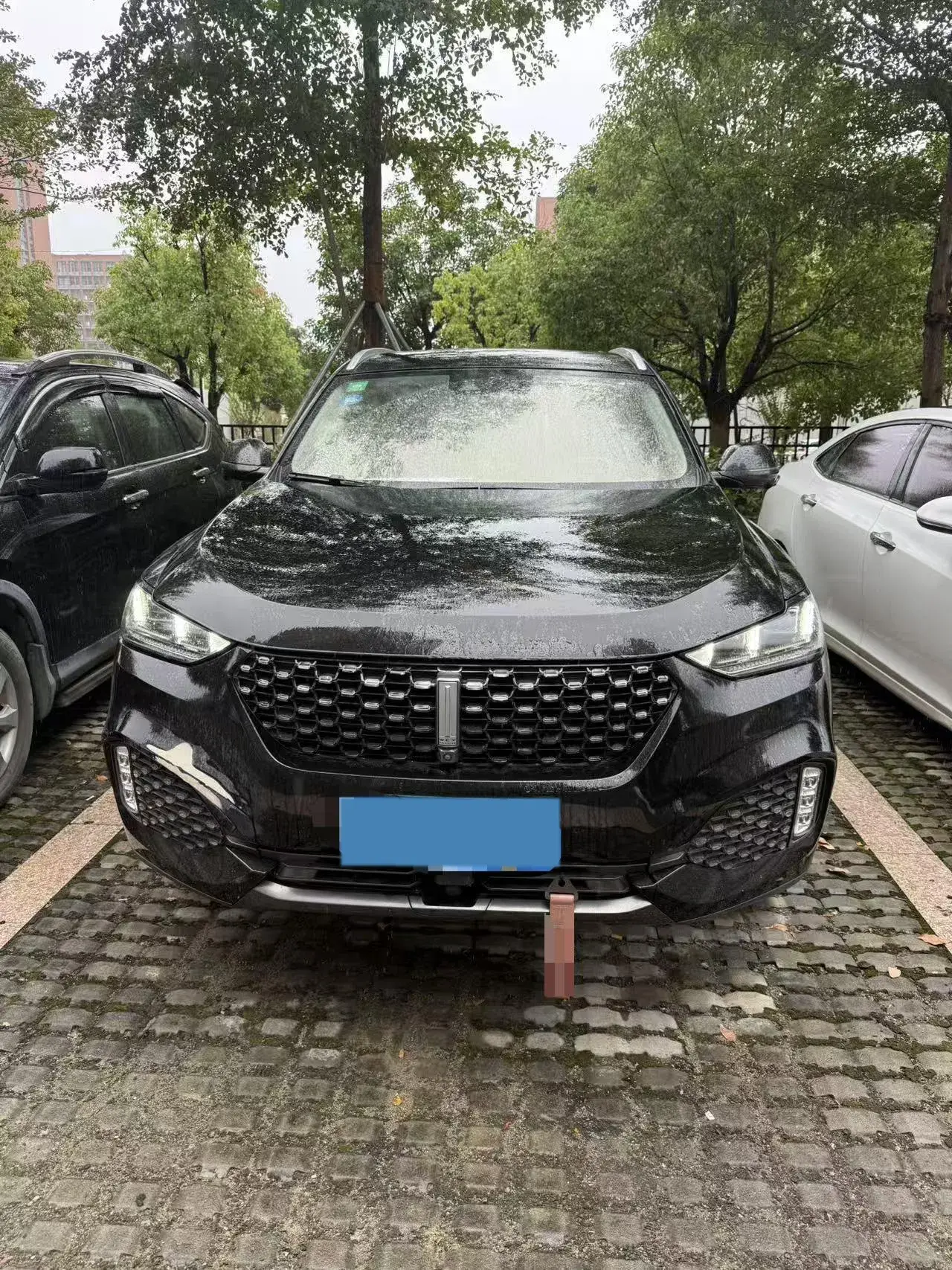 2020 WEY VV6 thumbnail 2