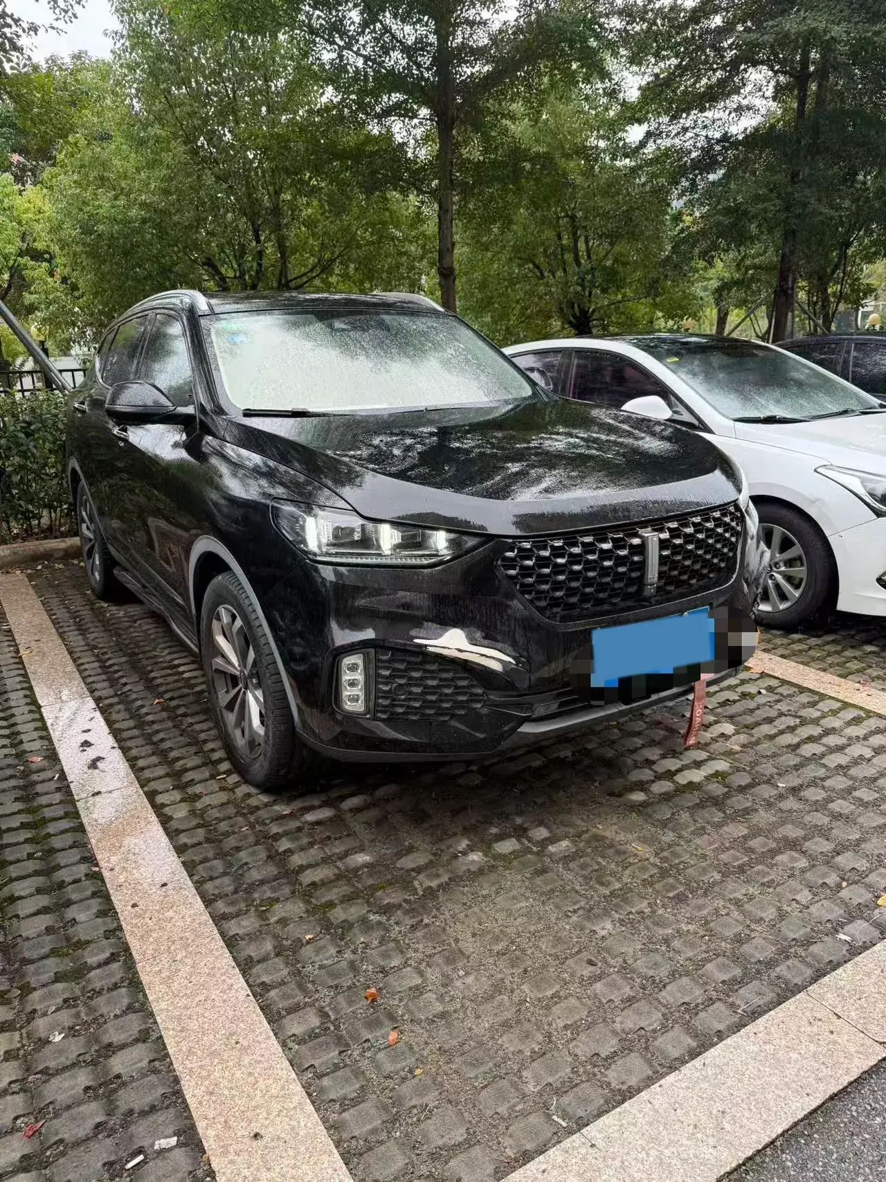 2020 WEY VV6 thumbnail 3