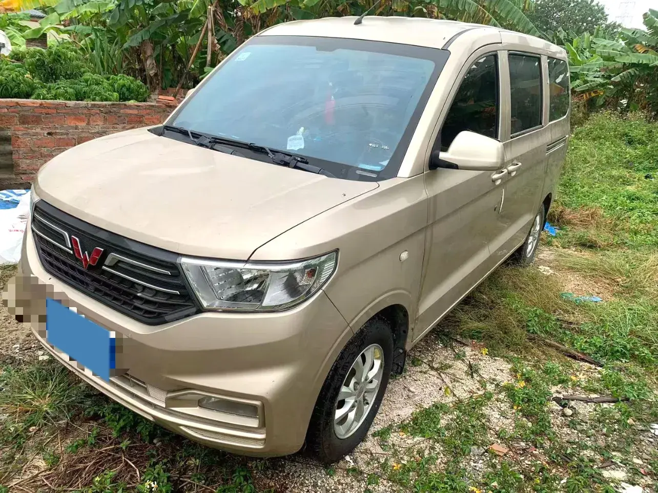 2019 WULING HONGGUANG view 1