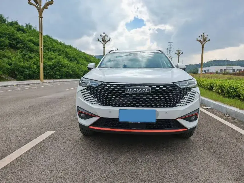 2021 HAVAL H6 thumbnail 2