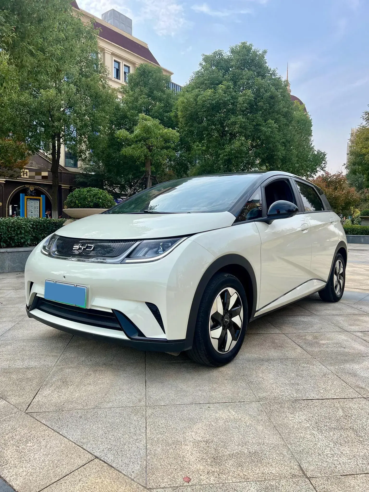 2025 BYD DOLPHIN view 1