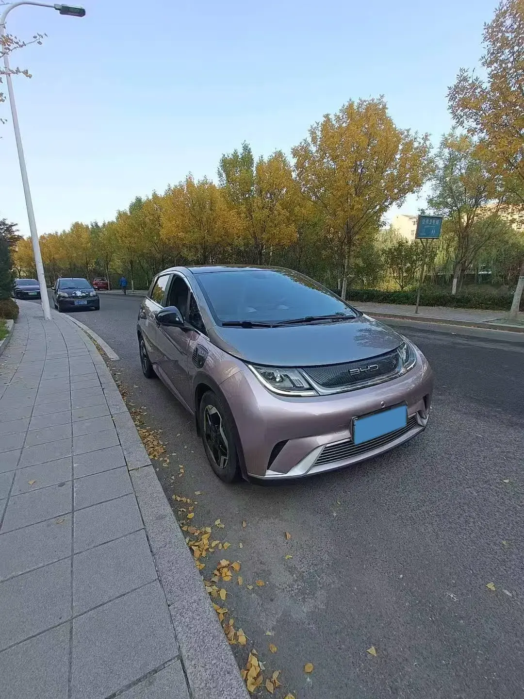 2021 BYD DOLPHIN thumbnail 2