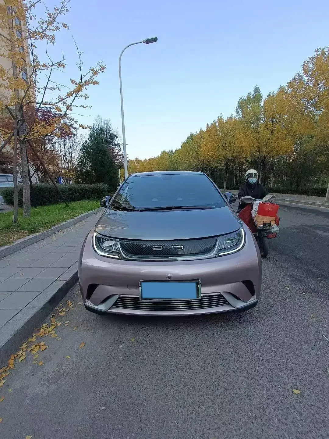 2021 BYD DOLPHIN thumbnail 3