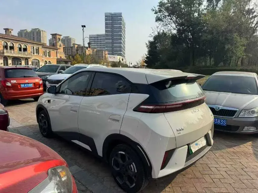 2025 BYD Seagull BEV 38.88KWH,autocango,china used car exporter,china ev exporter,chinese used car exporter,chinese used ev exporter