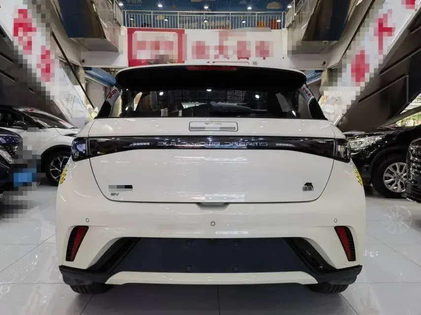 2023 BYD DOLPHIN thumbnail 4