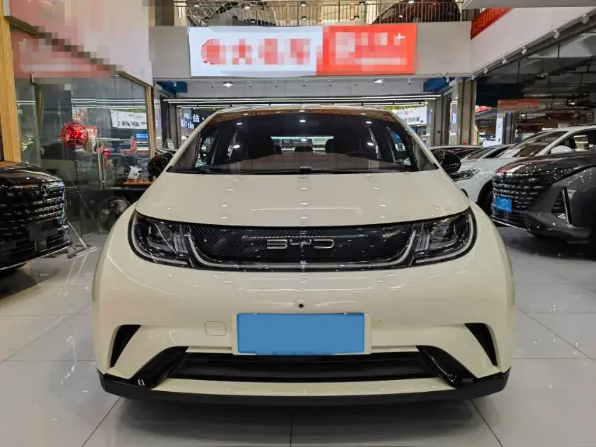 2023 BYD DOLPHIN thumbnail 2