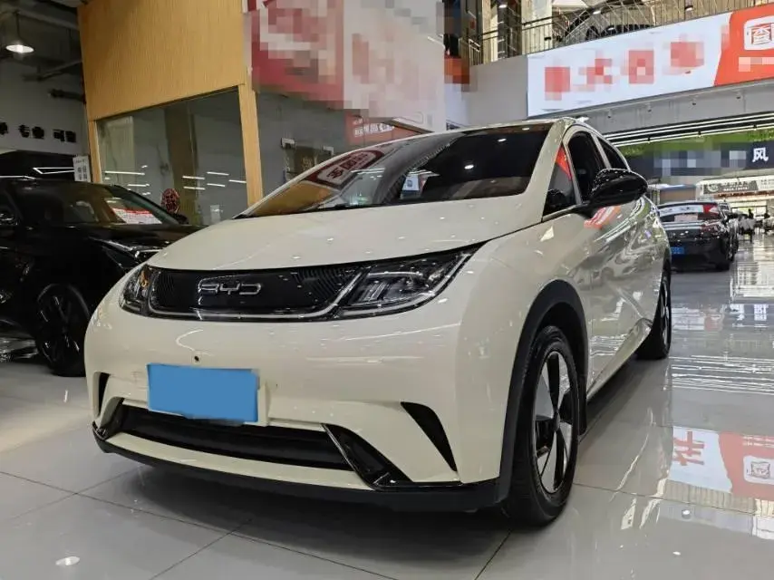2023 BYD DOLPHIN view 1